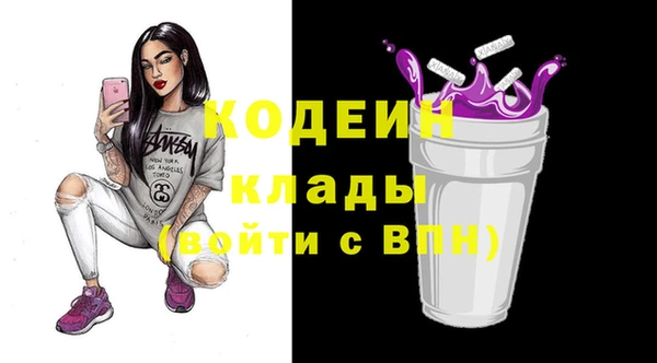 СК Дмитровск