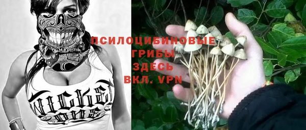 эйфоретик Дмитриев