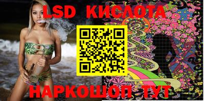 прущие крисы Камышлов