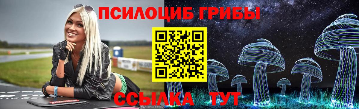 Мончегорск  Псилоцибиновые грибы мицелий  Вход с VPN 