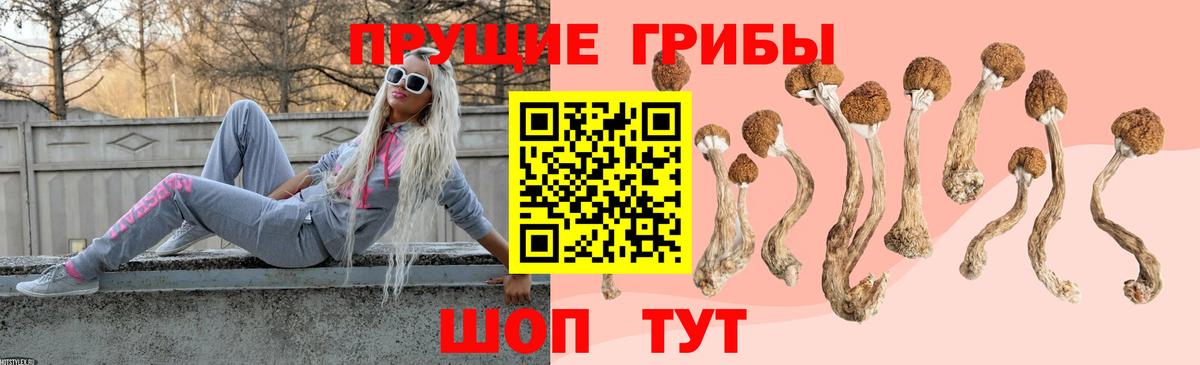 Псилоцибиновые грибы прущие грибы Мончегорск